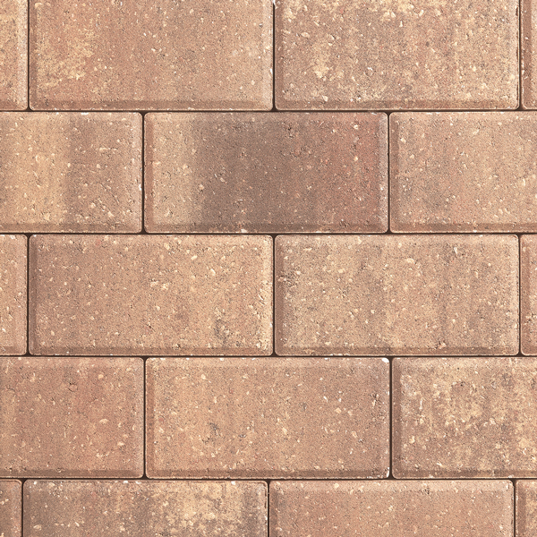 Paver 4x8 Brick - Imagen 4